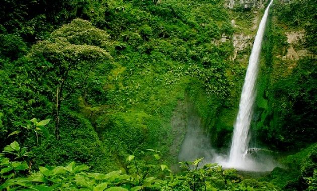 wisata air terjun kalipancur di wilayah semarang, defisini back to nature yang sesungguhnya, Harga Tiket Masuk, Jalan Menuju Lokasi, Fasilitas, Sekilas Air Terjun Kalipancur, Pesona Air Terjun Kalipancur