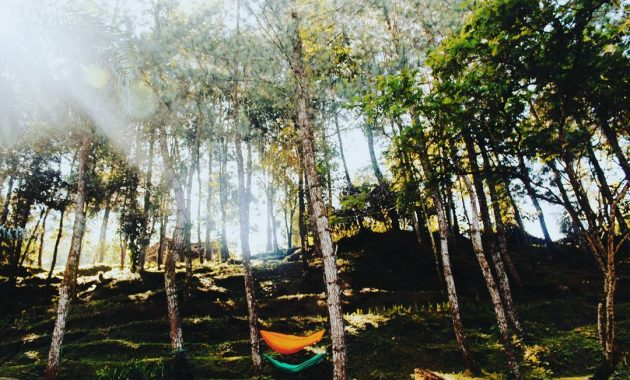 wisata curug panjang megamendung bogor, Lokasi Dimana , Rute Menuju Lokasi, Daya Tarik, Fasilitas dan Aktivitas, Tips Berkunjung 