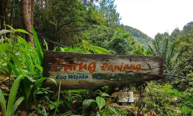 wisata curug panjang megamendung bogor, Lokasi Dimana , Rute Menuju Lokasi, Daya Tarik, Fasilitas dan Aktivitas, Tips Berkunjung 