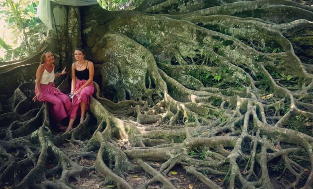wisata goa gajah ubud gianyar bali, Mengenal Goa Gajah, Sejarah Singkat, Wisata Sejarah, Mengunjungi Kompleks, Akses Menuju Lokasi