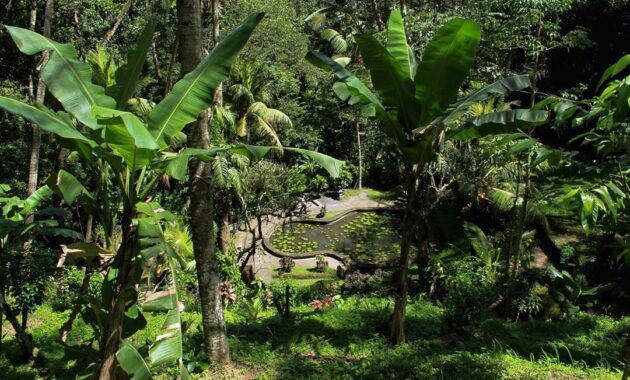wisata goa gajah ubud gianyar bali, Mengenal Goa Gajah, Sejarah Singkat, Wisata Sejarah, Mengunjungi Kompleks, Akses Menuju Lokasi