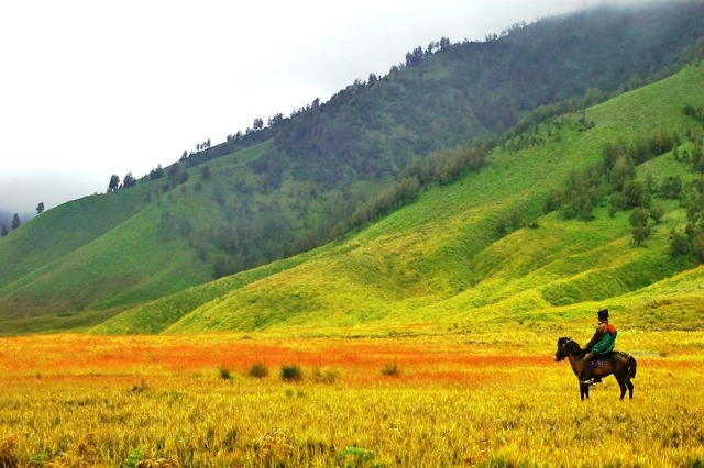harga tiket wisata gunung bromo, hotel di sekitar wisata gunung bromo, keindahan wisata gunung bromo, lokasi wisata gunung bromo, objek wisata gunung bromo, penginapan di wisata gunung bromo, rute menuju wisata gunung bromo, tempat wisata gunung bromo tujuan wisata gunung bromo, tiket wisata gunung bromo, wisata gunung bromo, wisata gunung bromo: harga tiket, fasilitas, daya tarik, kegiatan seru dll