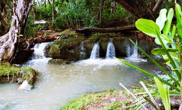 wisata pantai pancur banyuwangi, keindahan tersembunyi taman nasional alas purwo