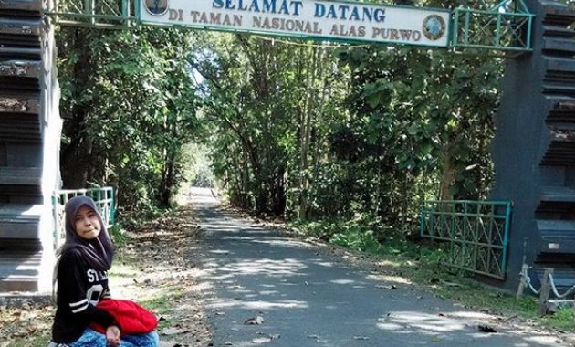 wisata pantai pancur banyuwangi, keindahan tersembunyi taman nasional alas purwo