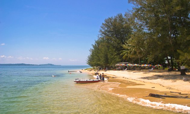 wisata pantai pancur banyuwangi, keindahan tersembunyi taman nasional alas purwo