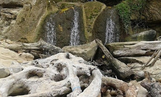 wisata pantai pancur banyuwangi, keindahan tersembunyi taman nasional alas purwo