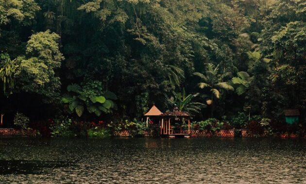 wisata rowo bayu songgon banyuwangi, Asal Usul, Keindahan Potensi, Jalan Menuju Lokasi, Jam Buka, Harga Tiket Masuk