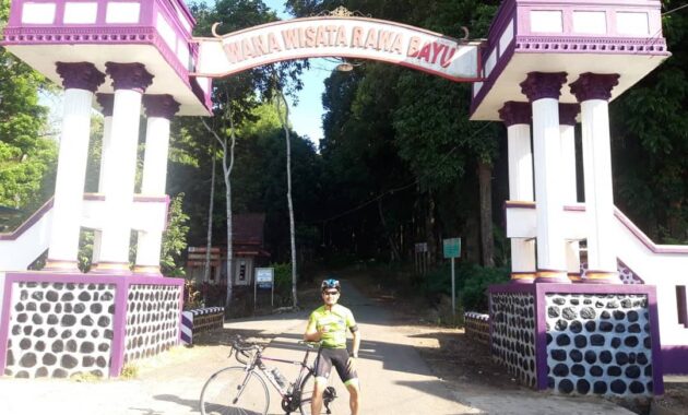 wisata rowo bayu songgon banyuwangi, Asal Usul, Keindahan Potensi, Jalan Menuju Lokasi, Jam Buka, Harga Tiket Masuk