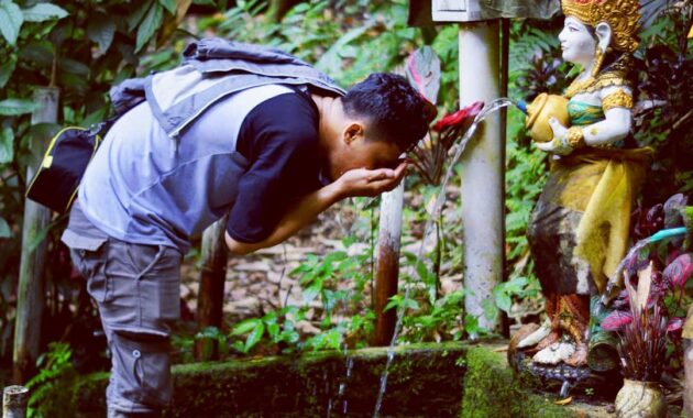 wisata rowo bayu songgon banyuwangi, Asal Usul, Keindahan Potensi, Jalan Menuju Lokasi, Jam Buka, Harga Tiket Masuk