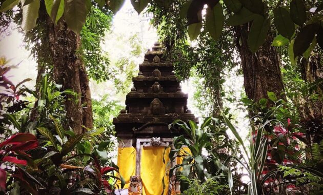 wisata rowo bayu songgon banyuwangi, Asal Usul, Keindahan Potensi, Jalan Menuju Lokasi, Jam Buka, Harga Tiket Masuk