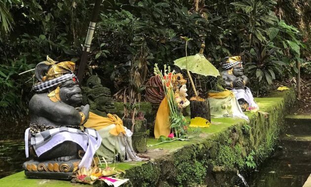 wisata rowo bayu songgon banyuwangi, Asal Usul, Keindahan Potensi, Jalan Menuju Lokasi, Jam Buka, Harga Tiket Masuk