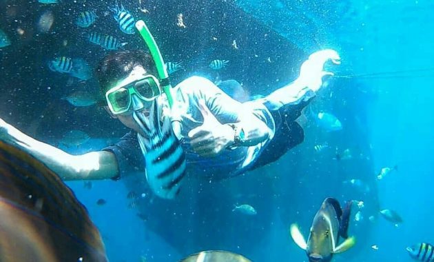 wisata rumah apung bangsring, Menilik Lokasi, Keindahan, Harga Tiket Masuk, Rute Menuju Lokasi, Tips Berlibur
