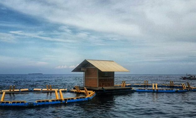 wisata rumah apung bangsring, Menilik Lokasi, Keindahan, Harga Tiket Masuk, Rute Menuju Lokasi, Tips Berlibur