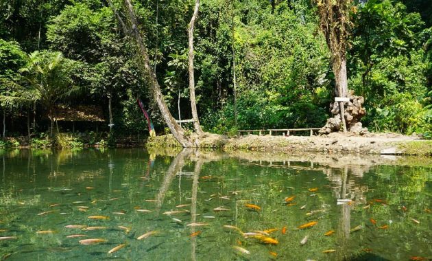 Wisata Sumber Ubalan