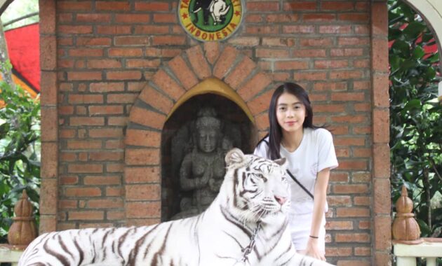 Wisata Taman Safari Cisarua Bogor