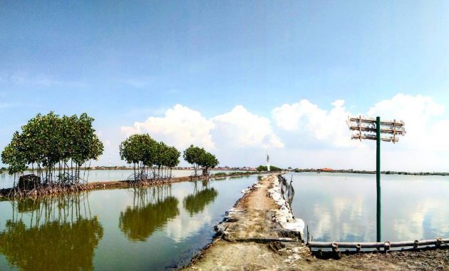 yuk piknik ke pulau cemara sawojajar brebes, Jadwal Liburan, Lokasi Dimana , Rute Perjalanan, Daya Tarik, Fasilitas Yang Ada 