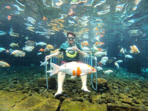 Foto Underwater di Umbul Ponggok., 1. Umbul Manten, 2. Umbul Pelem, 3. Umbul Nilo, 4. Umbul Brintik, 5. Umbul Sigedang Kapilaler, 6. Umbul Siblarak, 7. Umbul Ponggok
