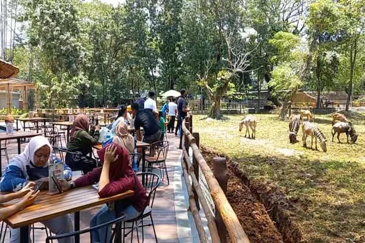 bagi pencinta hewan, simak pembahasan mengenai tempat wisata solo safari berikut ini!