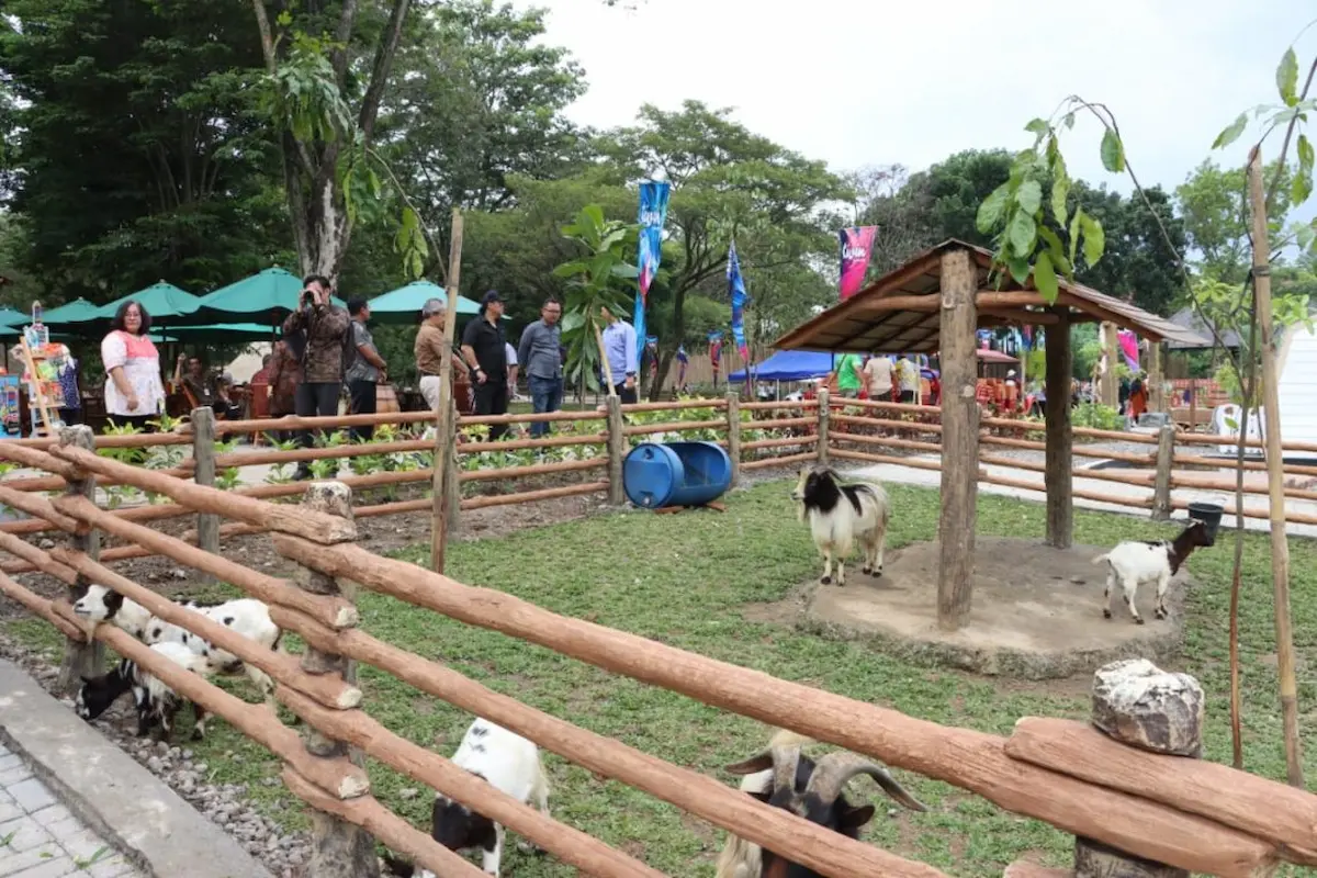 bagi pencinta hewan, simak pembahasan mengenai tempat wisata solo safari berikut ini!