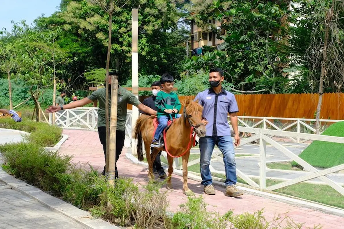 bagi pencinta hewan, simak pembahasan mengenai tempat wisata solo safari berikut ini!