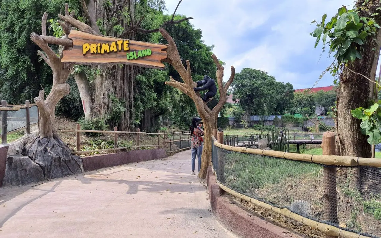 bagi pencinta hewan, simak pembahasan mengenai tempat wisata solo safari berikut ini!