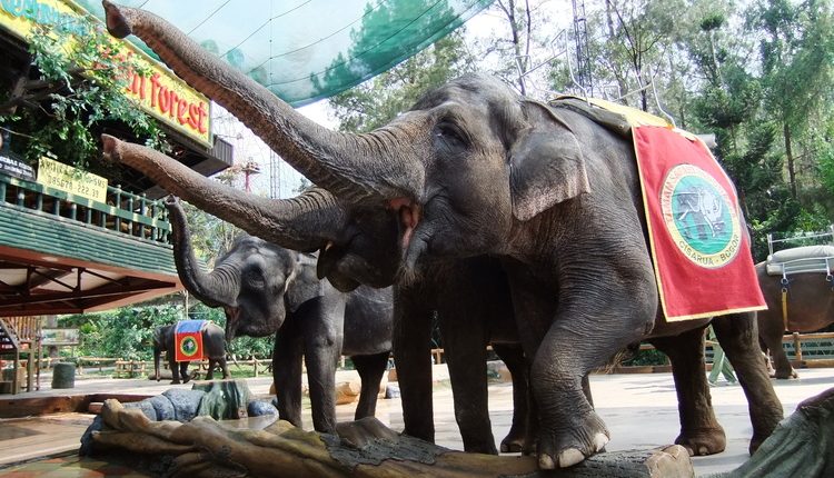 Bepergian dengan Anak? Ini 7 Tempat Wisata Ramah Anak Paling Top Saat Ini