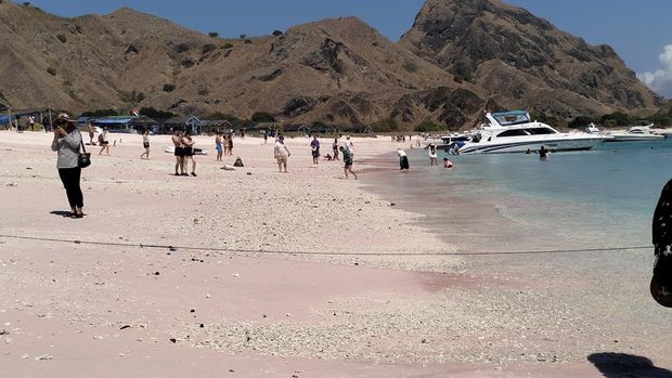 Sejumlah turis menikmati keindahan pantai Long Pink Beach di sisi utara pulau Padar di Taman Nasional Komodo. (Ambrosius Ardin), 1. Jalur Udara, 2. Jalur Darat, 3. Jalur Laut, 1. Pulau Komodo, 2. Pulau Padar, 3. Pantai Pink, 4. Pulau Manjarite, 5. Bukit Sylvia