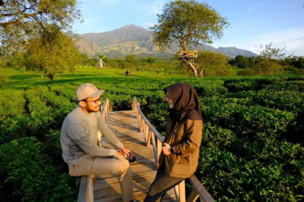 Kebun Teh Wonosari
