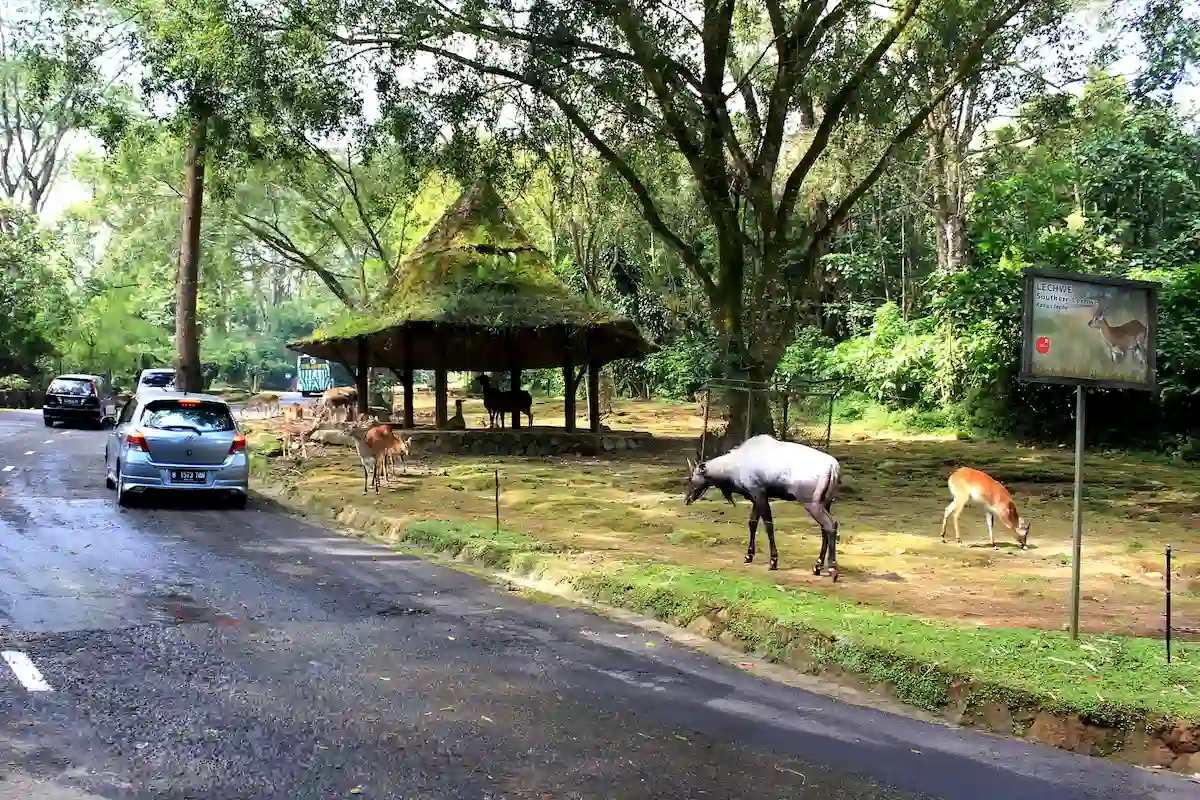 cari tahu 15 tempat wisata bogor dekat stasiun