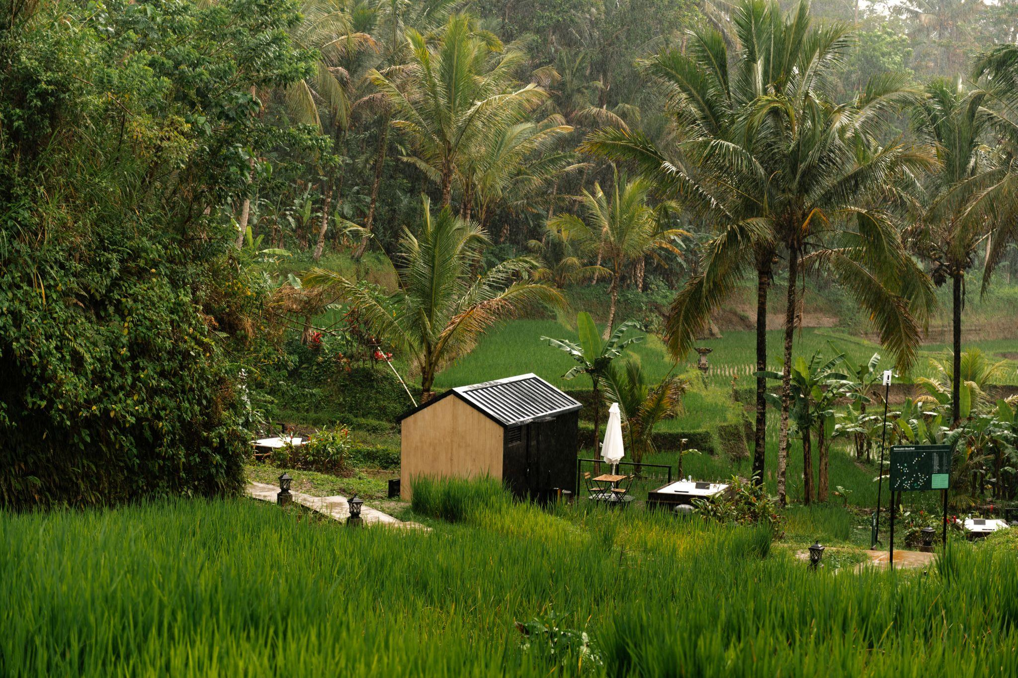 cocok untuk liburan, inilah 13 tempat wisata sumba yang menarik