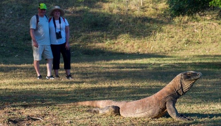 taman nasional komodo