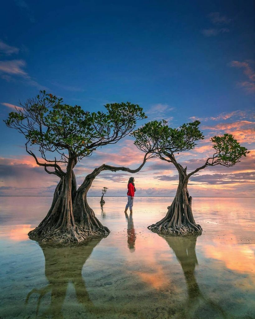nusa tenggara timur, pantai, pantai walakiri, pantai walakiri sumba, sumba, sumba timur, indahnya pesona dan panorama di pantai walakiri sumba