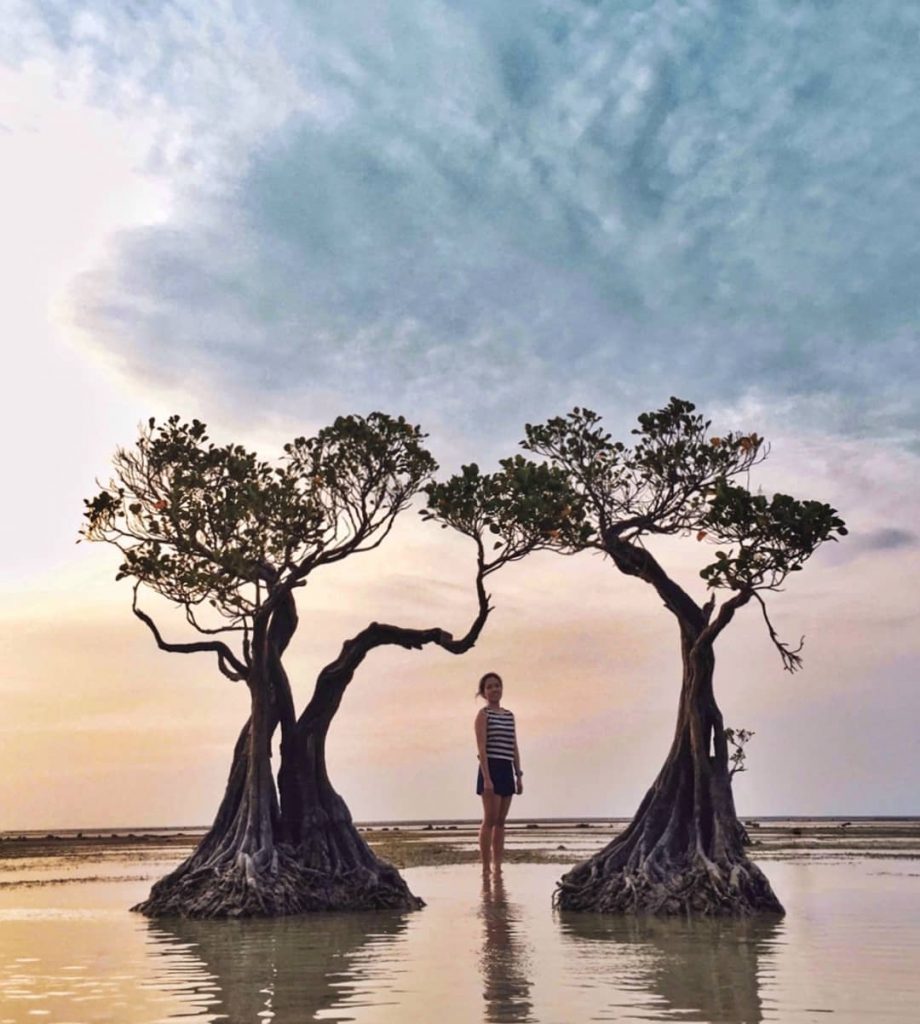 nusa tenggara timur, pantai, pantai walakiri, pantai walakiri sumba, sumba, sumba timur, indahnya pesona dan panorama di pantai walakiri sumba