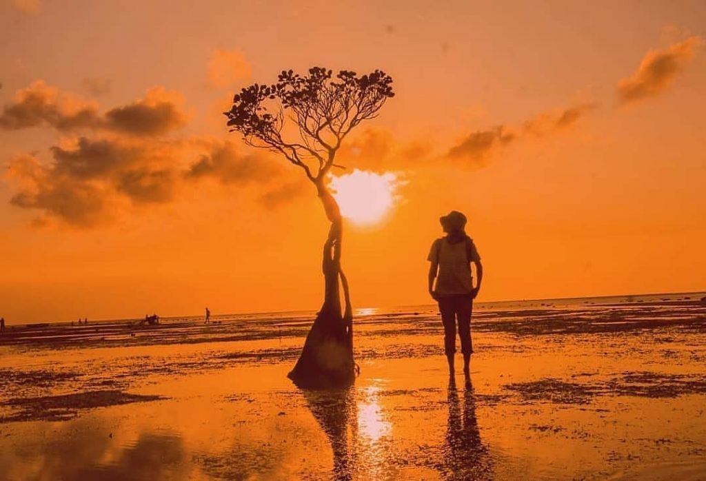 nusa tenggara timur, pantai, pantai walakiri, pantai walakiri sumba, sumba, sumba timur, indahnya pesona dan panorama di pantai walakiri sumba