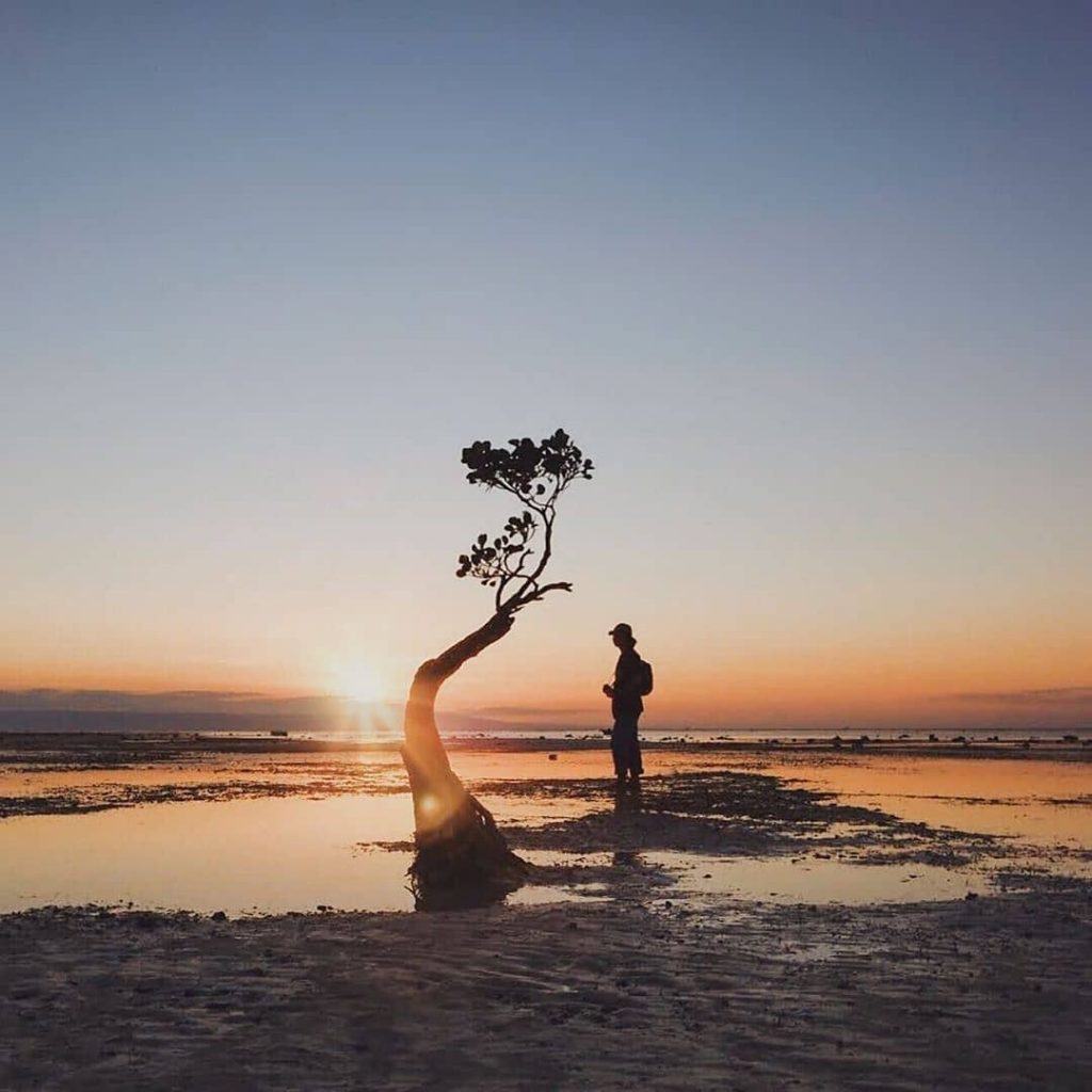 nusa tenggara timur, pantai, pantai walakiri, pantai walakiri sumba, sumba, sumba timur, indahnya pesona dan panorama di pantai walakiri sumba