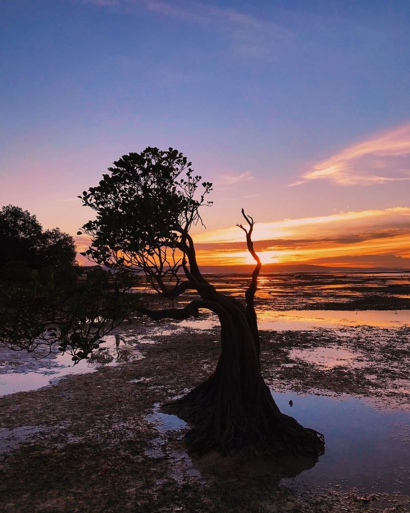 nusa tenggara timur, pantai, pantai walakiri, pantai walakiri sumba, sumba, sumba timur, indahnya pesona dan panorama di pantai walakiri sumba
