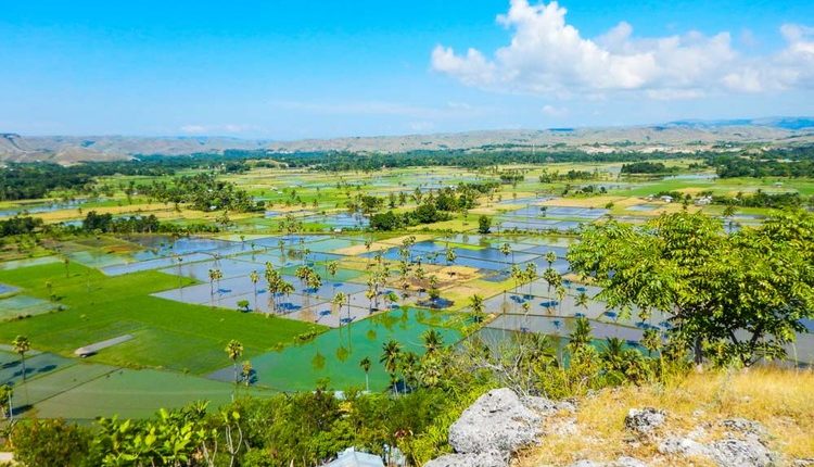 tempat wisata di Sumba bukit persaudaraan