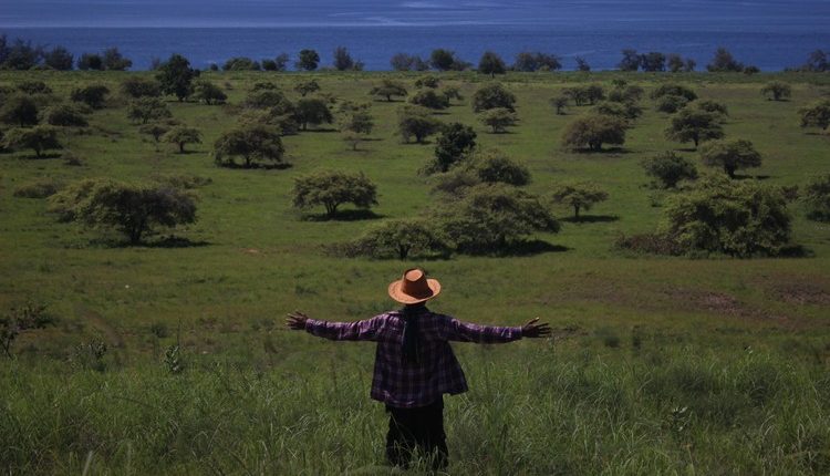Inilah 7 Tempat Wisata di Sumba Timur Wajib Dikunjungi, Serasa Warga Lokal!