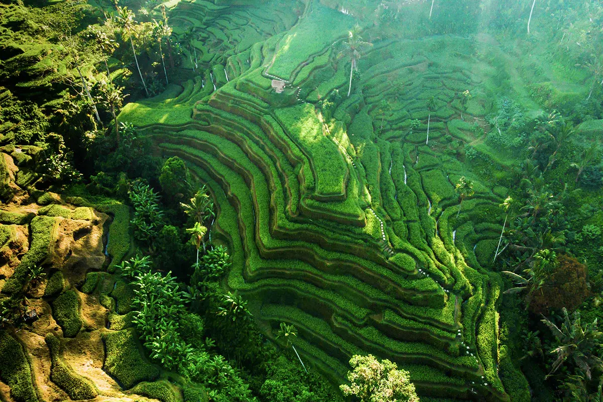jangan lupa untuk mengunjungi 20 tempat wisata di gianyar ini