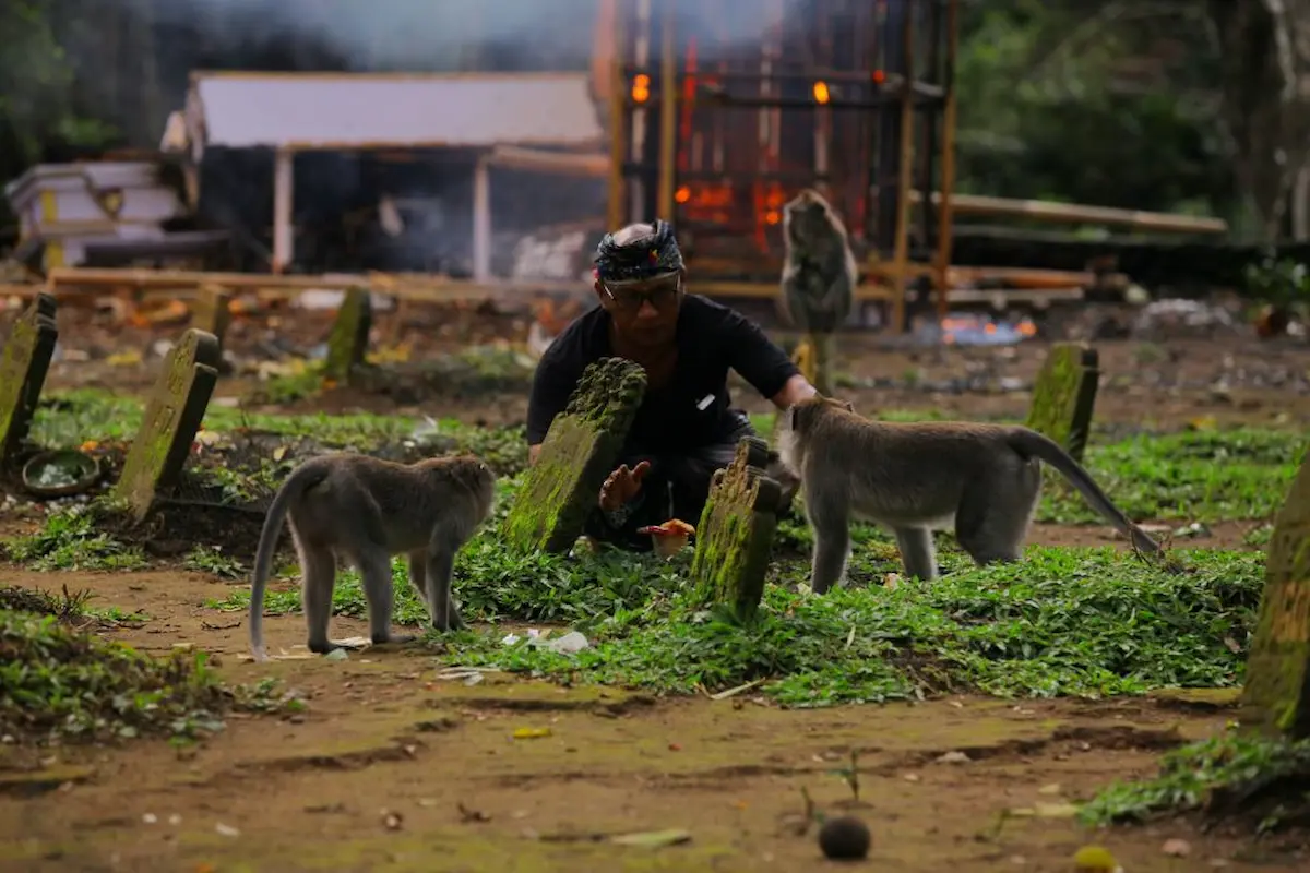 jangan lupa untuk mengunjungi 20 tempat wisata di gianyar ini
