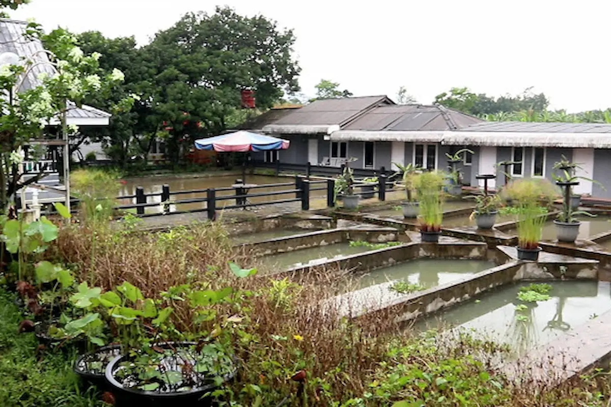 liburan dengan keluarga? jangan lupa mengunjungi 15 tempat wisata anak di sentul berikut ini!