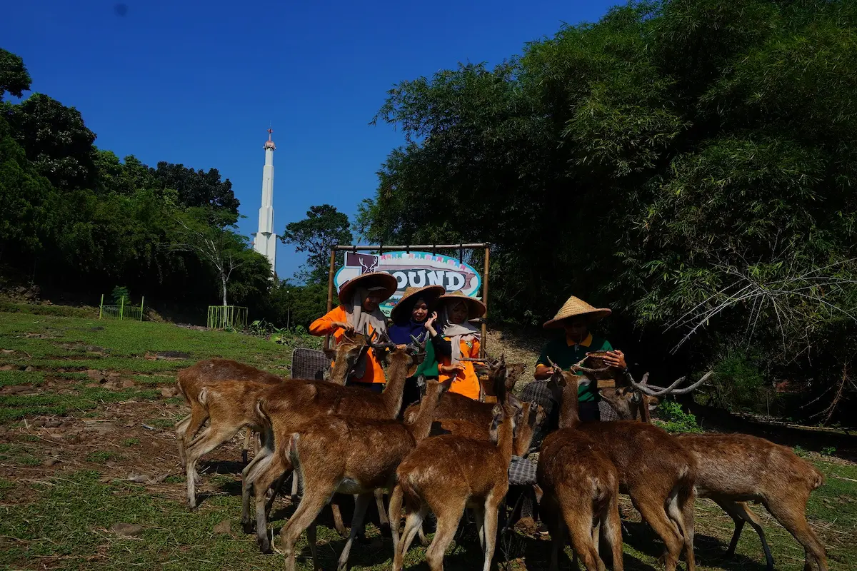 liburan dengan keluarga? jangan lupa mengunjungi 15 tempat wisata anak di sentul berikut ini!