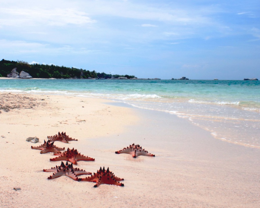 liburan ke tanah laskar pelangi, jangan lewatkan 7 rekomendasi tempat wisata belitung ini!