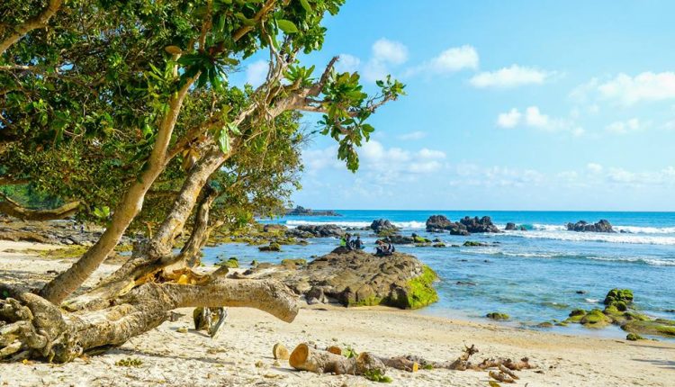 Mau Liburan ke Yogyakarta? Jangan Lupa Mampir ke Pantai Wediombo!