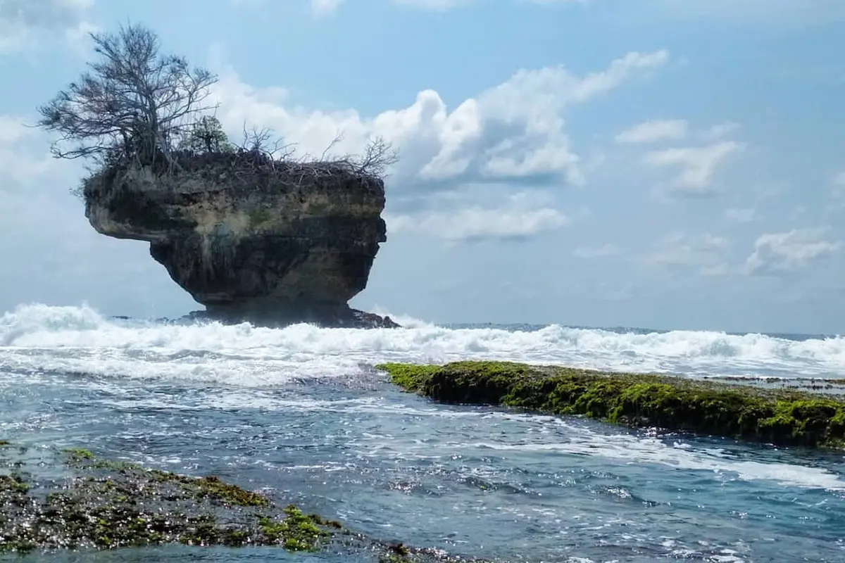 Panorama Alam yang Memukau
