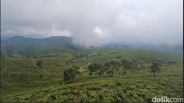 Panduan Wisata dan Rute ke Taman Langit Pangalengan di Bandung