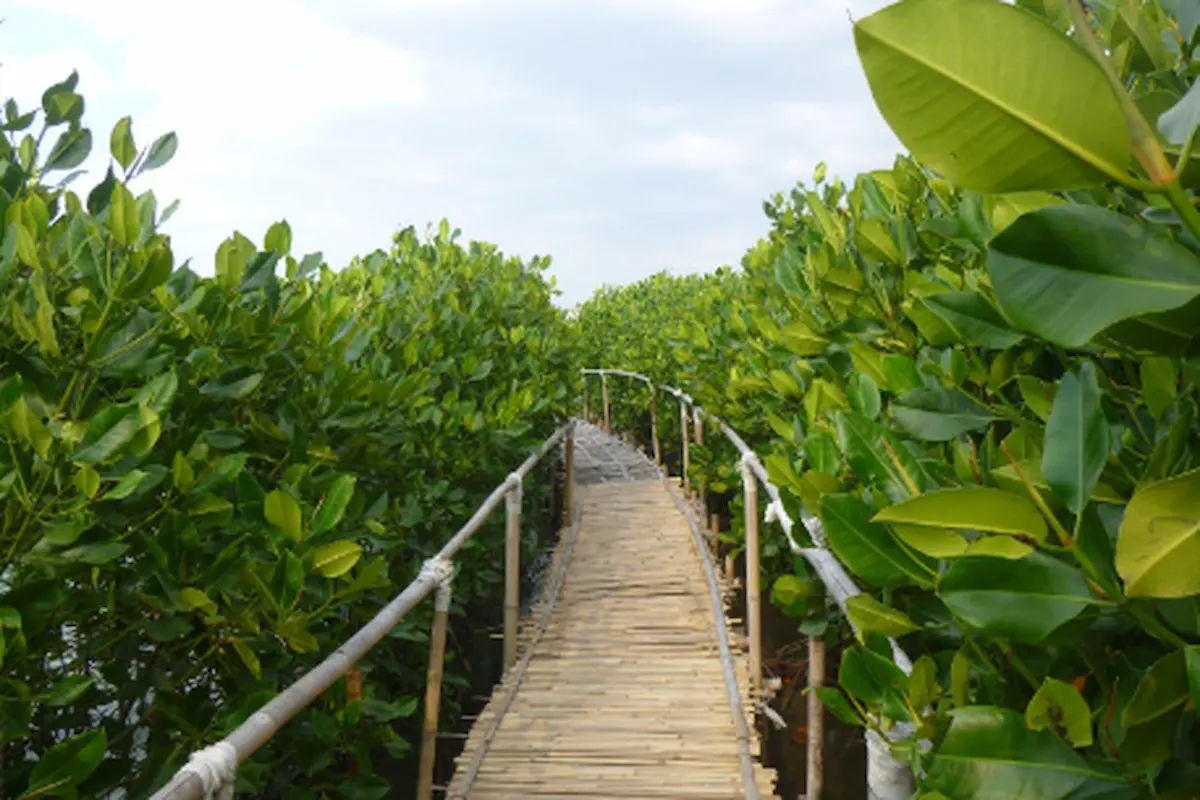 Pantai Maron Semarang: Keindahan Pantai di Tengah Kota