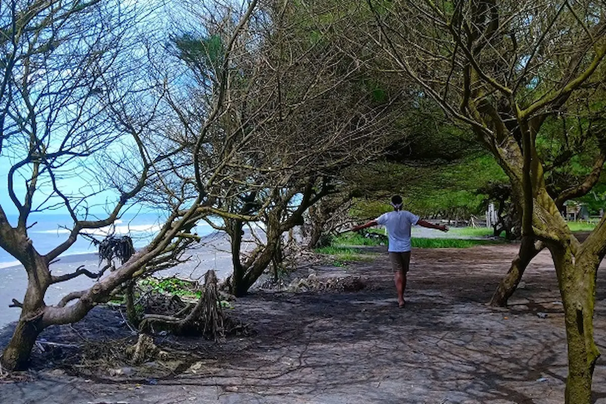 pantai pandansari: pesona pantai tersembunyi di jawa tengah