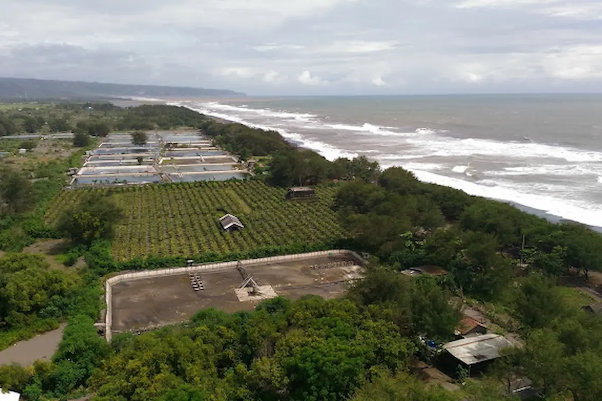 Pantai Pandansari: Pesona Pantai Tersembunyi di Jawa Tengah