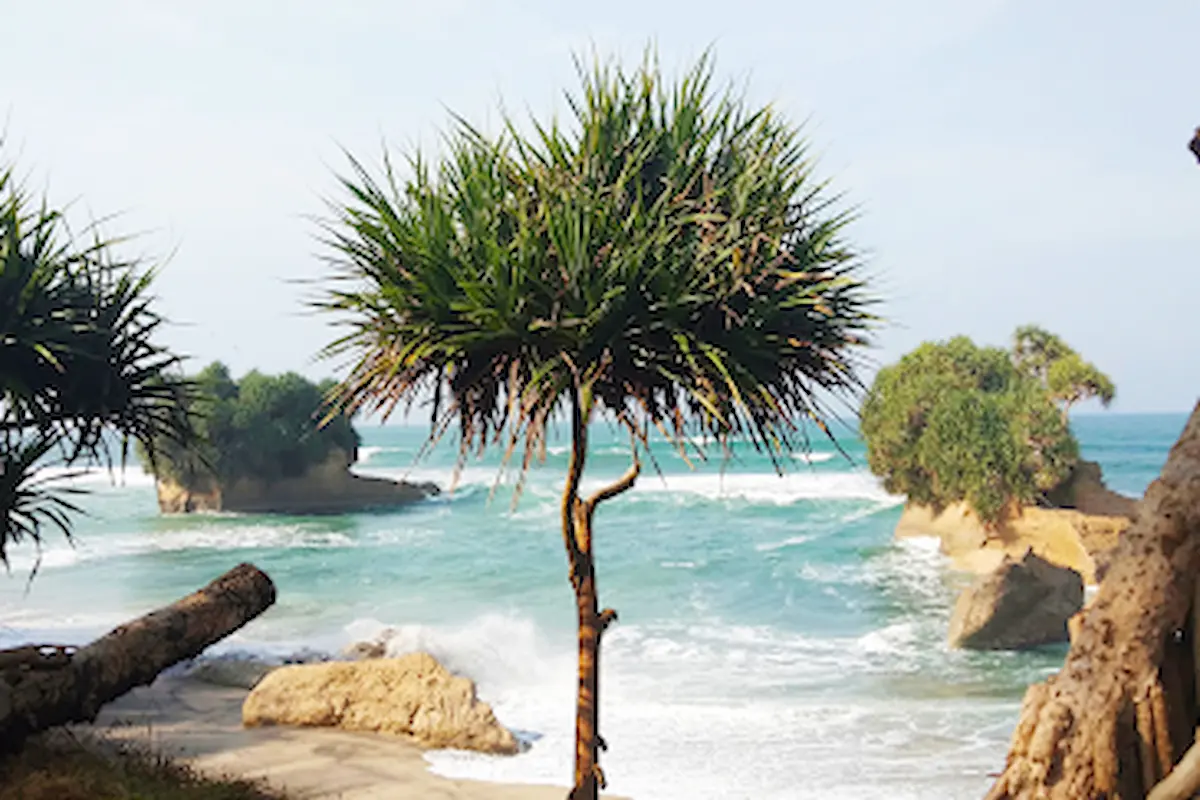 pantai panganten: destinasi romantis di tepi laut